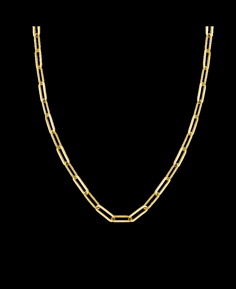 Rosefield Hammered Chain Necklace Gold
