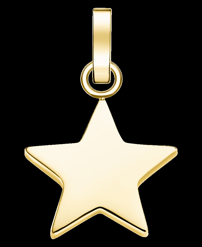 Rosefield Pendant Gold Symbol Star